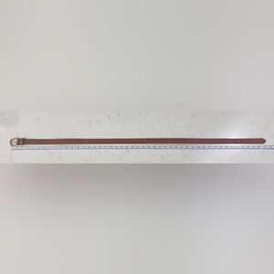 NWT, Frye 25mm flat strap w leather loop belt in size L/XL